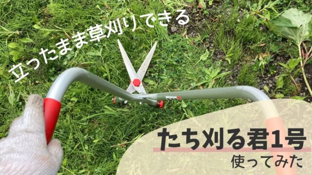 【レビュー】立ったまま草刈り！たち刈る君1号の使い方とコツ | 繊細さんのためのWebライター講座